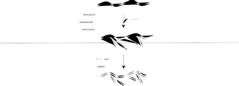 Image result for Mda Helix Array