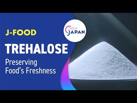 Sha Narendra And Sons, Chennai - Importer of Ingredients and Chemicals