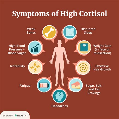 Recognizing the Signs and Symptoms of High Cortisol
