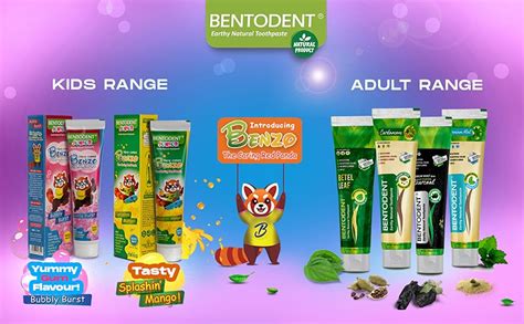 Buy Bentodent 100% Natural Kids Mango Toothpaste, Fluoride Free, Sls ...
