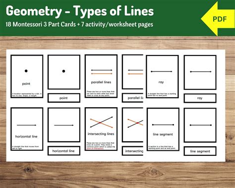 Types of Lines Worksheet: Engaging Activities for Understanding Basic ...