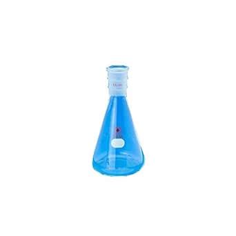 ACE Glass 6965-40 Erlenmeyer Flask, 500 mL Capacity, 29/42 Standard ...