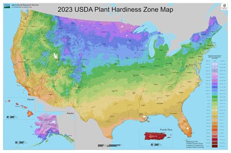 USDA Unveils New Hardiness Zone Map for Planting