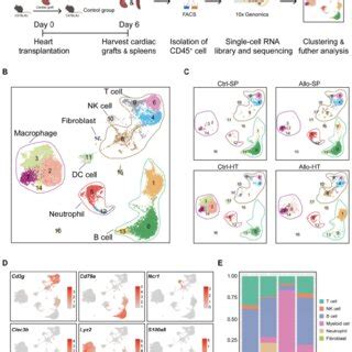 Image result for Transcriptomics technologies Single-cell Transcriptomics