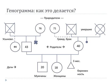 Генограмма, психогенеалогия и психогенетика в Москве.