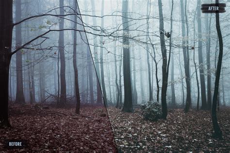 50 Dark and Moody Photoshop Actions | Portrait Actions, Dramatic ...