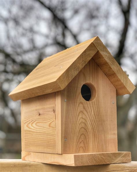 Image result for Homemade Bird Nesting Box Plans