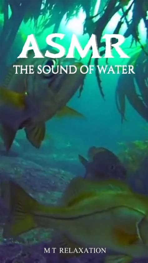 Image result for Water Stream ASMR