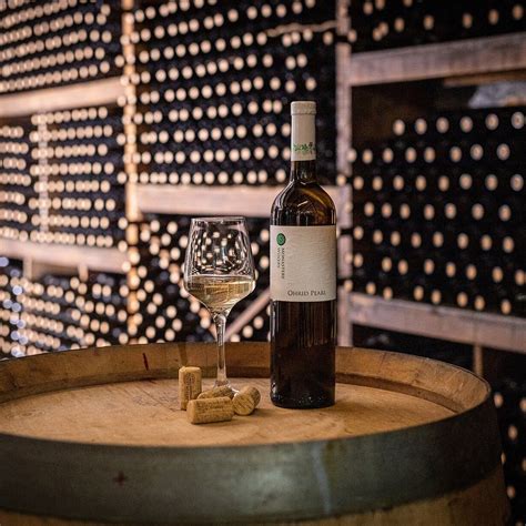 MONASTERY WINERY (2026) All You Need to Know BEFORE You Go (with Photos ...