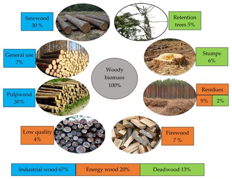 Firewood Energy