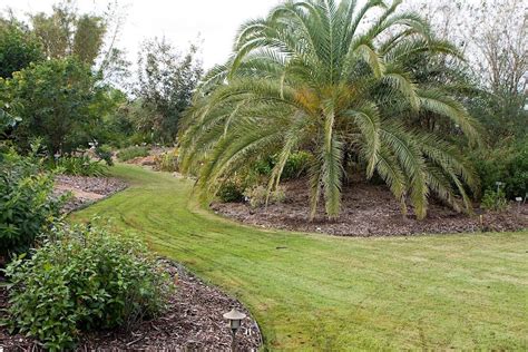 Green Industry Best Management Practices (GI-BMP), St. Lucie County ...