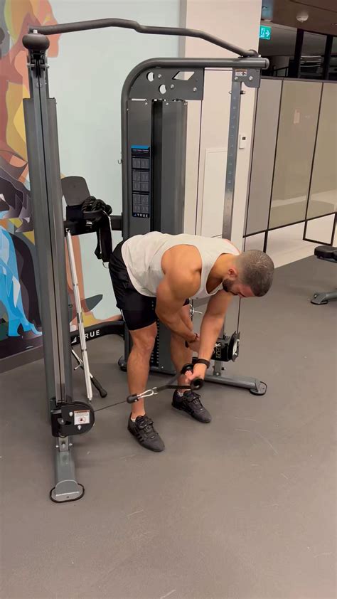 Cable Rear Delt Flyes Cable Vs. Dumbbell Rear Delt Flyes Gymaholic