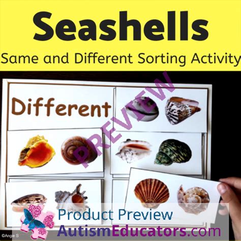 Seashell Sorting Activity 的图像结果