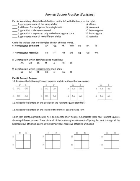 Punnett Square Practice Worksheet Answers – Owhentheyanks.com