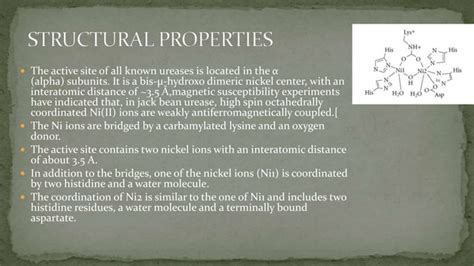 Image result for Urease Enzyme