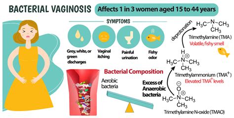 Bacterial vaginosis symptoms and TMA production mechanism. A reduction ...