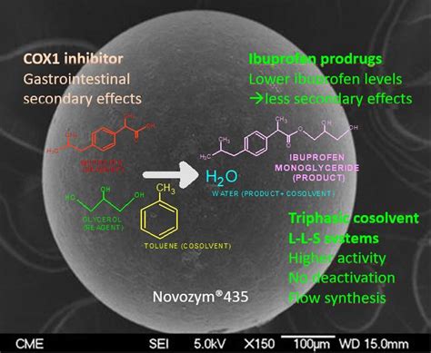 Synthesis of Ibuprofen Monoglyceride Using Novozym®435: Biocatalyst ...