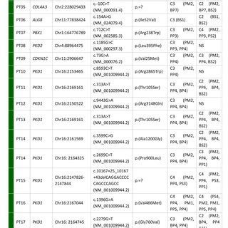 Variants Library NGS 的图像结果