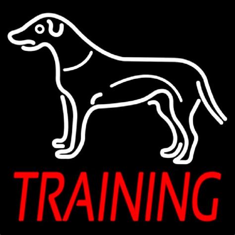 In Training Sign 的图像结果
