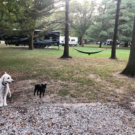 DAM WEST CAMPGROUND: Reviews (Carlyle, IL) - Photos of Campground ...