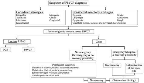 Management of Pediatric Bilateral Vocal Fold Paralysis: A State-of-the ...
