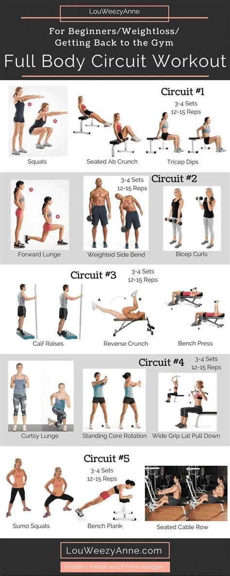 Exercise Work Out Plan 的图像结果