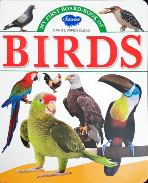 My First Board Book of Birds - Wipe & Clean – Books and You