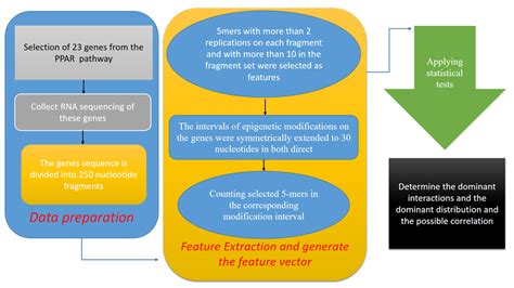 Image result for Graphical Abstract Springer