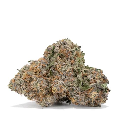 Rocket Fuel Strain | THC: 25 - 29% | AAAA Indica