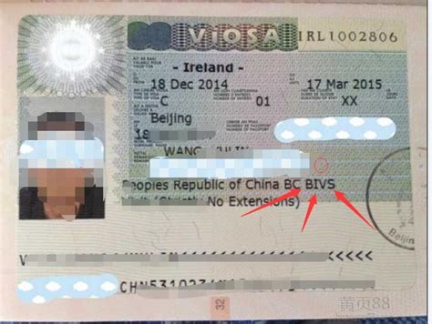 中专爱尔兰拒签学生在兆龙顺利获得签证_爱尔兰留学签证网