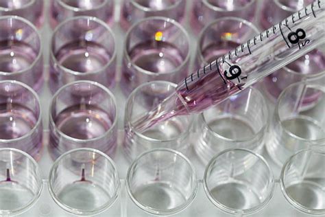 Cell 2D 的图像结果