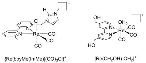 Molecular Catalysis for Utilizing CO2 in Fuel Electro-Generation and in ...