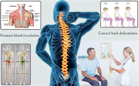 Lower Back Stretcher with Magnetic Acupressure Points Multi-Level Back ...