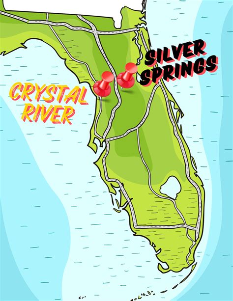How to See Manatees Florida Summer - Wildlife Spotting - EuphoricDiscovery.com