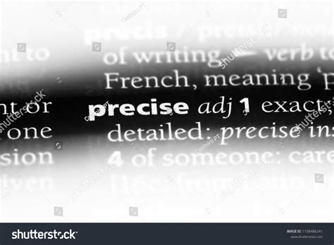 Image result for Define Precise