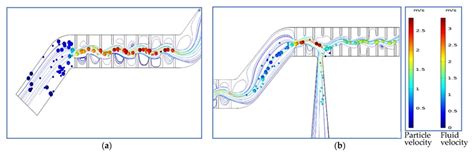 Design and Numerical Simulation of Biomimetic Structures to Capture ...