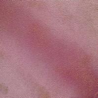 FO7 Golden Girl Coral and New Color | FO7 Golden Girl Coral and New Color