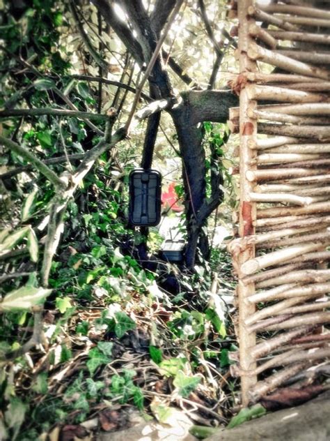 Image result for Raspberry Pi Speed Camera