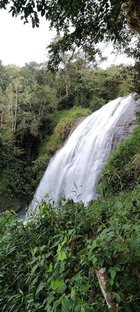 KABBE HOLIDAYS (Coorg) - Ranch Reviews, Photos, Rate Comparison ...