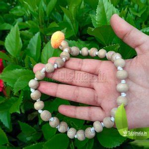 Original Tulsi Mala Online Store Vrindavan - Tulsi Mala