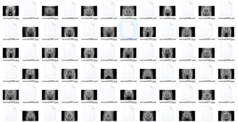 Image result for Raw PDF Data within JSON