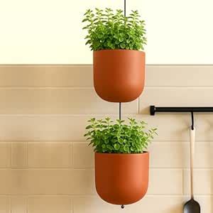 Habere India-All the Cultures Fabricating India Pot for Plants | Flower ...