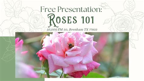 Roses 101, 10000 FM 50, Brenham, TX, United States, Texas 77833, 14 ...
