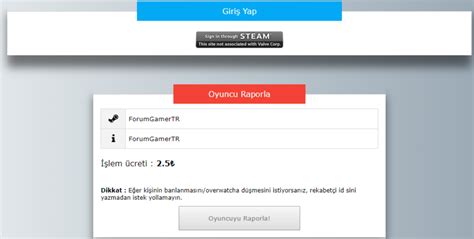 CS GO Report Bot 的图像结果