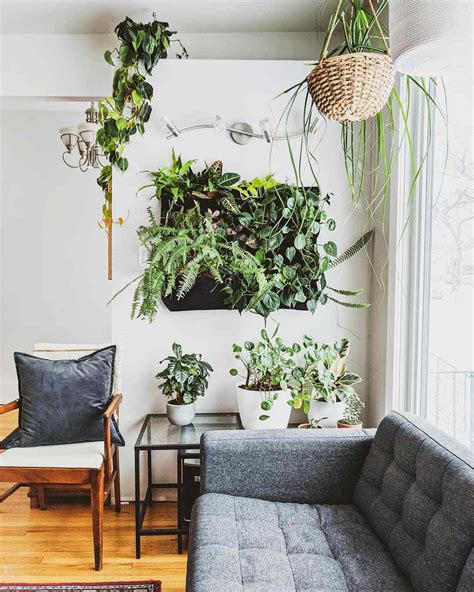 23 Indoor Plant Wall Ideas to Bring Life to Any Room