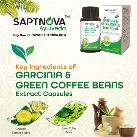 Garcinia & Green Coffee Bean Extract Capsule - 60 Capsules – SAPTNOVA