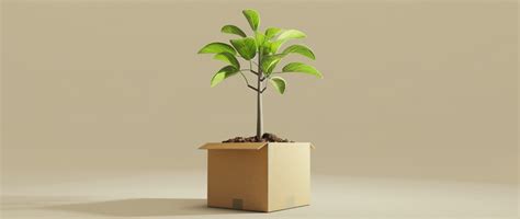 15 Eco-Friendly Business Ideas to Start in 2026 - Shopify India
