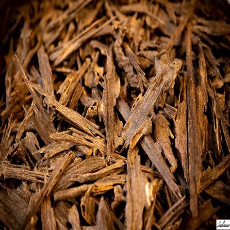 Meilleur Plantations