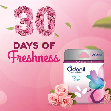 Dabur Odonil Air Freshener Blocks Mystic Rose