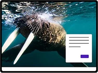 Image result for Floating Button CSS/HTML Design